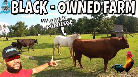 nc owned livestock